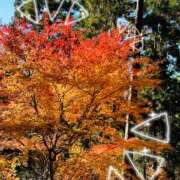 ヒメ日記 2025/10/01 10:41 投稿 あい エロティックマッサージ 錦糸町