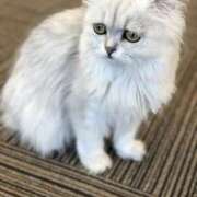 ヒメ日記 2025/10/15 11:01 投稿 あい エロティックマッサージ 錦糸町