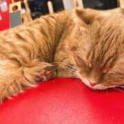 ヒメ日記 2025/11/28 11:35 投稿 あい エロティックマッサージ 錦糸町