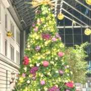 ヒメ日記 2025/12/18 08:51 投稿 あい エロティックマッサージ 錦糸町