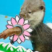 ヒメ日記 2026/02/04 10:38 投稿 あい エロティックマッサージ 錦糸町