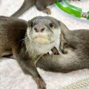 ヒメ日記 2026/02/07 10:39 投稿 あい エロティックマッサージ 錦糸町