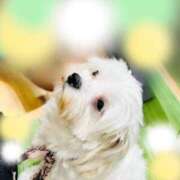 ヒメ日記 2026/02/11 10:51 投稿 あい エロティックマッサージ 錦糸町