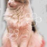 ヒメ日記 2026/02/20 10:54 投稿 あい エロティックマッサージ 錦糸町