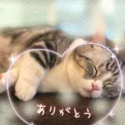 ヒメ日記 2026/03/24 19:16 投稿 あい エロティックマッサージ 錦糸町