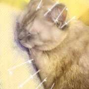 ヒメ日記 2026/05/23 10:46 投稿 あい エロティックマッサージ 錦糸町