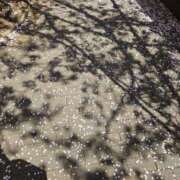 ヒメ日記 2025/04/09 10:41 投稿 あこ エロティックマッサージ 新橋