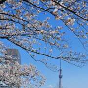 ヒメ日記 2025/04/09 12:41 投稿 あこ エロティックマッサージ 新橋