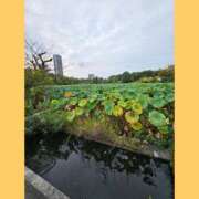 ヒメ日記 2025/10/04 21:58 投稿 あこ エロティックマッサージ 新橋