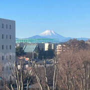 ヒメ日記 2024/01/01 07:41 投稿 まい 性腺熟女100％（デリヘル市場）