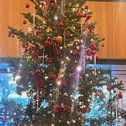 ヒメ日記 2024/12/20 08:05 投稿 まい 性腺熟女100％（デリヘル市場）