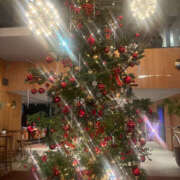 ヒメ日記 2024/12/23 17:33 投稿 まい 性腺熟女100％（デリヘル市場）