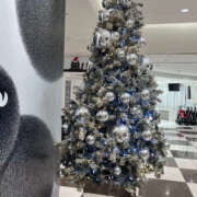 ヒメ日記 2024/12/24 07:44 投稿 まい 性腺熟女100％（デリヘル市場）