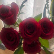 ヒメ日記 2024/12/28 12:51 投稿 まい 性腺熟女100％（デリヘル市場）