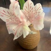 ヒメ日記 2025/01/08 07:43 投稿 まい 性腺熟女100％（デリヘル市場）