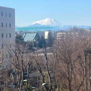 ヒメ日記 2025/01/30 11:33 投稿 まい 性腺熟女100％（デリヘル市場）