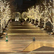 ヒメ日記 2025/02/06 09:13 投稿 まい 性腺熟女100％（デリヘル市場）