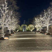 ヒメ日記 2025/02/21 20:12 投稿 まい 性腺熟女100％（デリヘル市場）