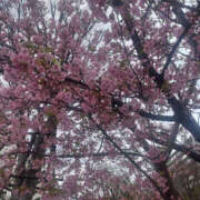 ヒメ日記 2025/03/08 09:14 投稿 まい 性腺熟女100％（デリヘル市場）