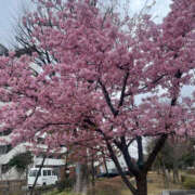 ヒメ日記 2025/03/14 07:06 投稿 まい 性腺熟女100％（デリヘル市場）