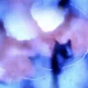 ヒメ日記 2025/03/29 08:00 投稿 まい 性腺熟女100％（デリヘル市場）