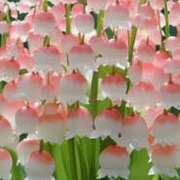 ヒメ日記 2025/04/10 07:00 投稿 まい 性腺熟女100％（デリヘル市場）