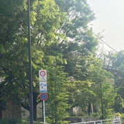 ヒメ日記 2025/04/19 16:04 投稿 まい 性腺熟女100％（デリヘル市場）