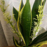 ヒメ日記 2025/04/28 08:16 投稿 まい 性腺熟女100％（デリヘル市場）