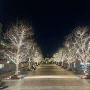 ヒメ日記 2025/05/13 20:00 投稿 まい 性腺熟女100％（デリヘル市場）