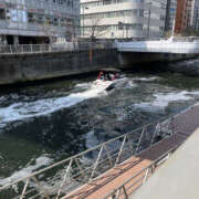 ヒメ日記 2026/03/29 10:50 投稿 まい 性腺熟女100％（デリヘル市場）