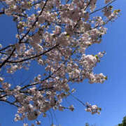 ヒメ日記 2026/04/08 10:20 投稿 まい 性腺熟女100％本店（デリヘル市場）