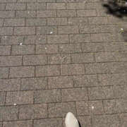 ヒメ日記 2026/04/08 10:45 投稿 まい 性腺熟女100％本店（デリヘル市場）