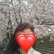 赤坂麗来(あかさかれいら) 桜満開 五十路マダム福知山店(カサブランカグループ)