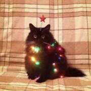 ヒメ日記 2024/12/25 17:42 投稿 あるか マリン千葉店