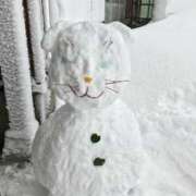 ヒメ日記 2025/12/17 16:10 投稿 あるか マリン千葉店