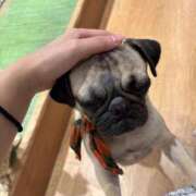 ヒメ日記 2025/07/18 16:26 投稿 かんな 東京妻next (京都グループ)