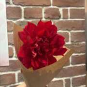 かんな 🎅 東京妻next (京都グループ)