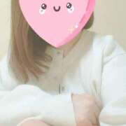 ヒメ日記 2026/01/21 08:44 投稿 島田なぎさ(しまだなぎさ) 五十路マダム福知山店(カサブランカグループ)