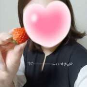 ヒメ日記 2026/03/19 08:10 投稿 島田なぎさ(しまだなぎさ) 五十路マダム福知山店(カサブランカグループ)