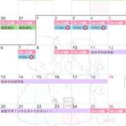 ヒメ日記 2024/12/28 13:41 投稿 ののか 秋葉原コスプレ学園in西川口