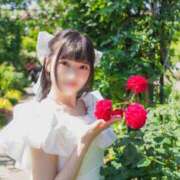 ののか お休み続きでごめんなさい💦 秋葉原コスプレ学園in西川口