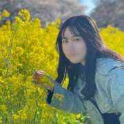 ヒメ日記 2025/04/28 23:11 投稿 もか Candy×Candy （キャンディ×キャンディ）