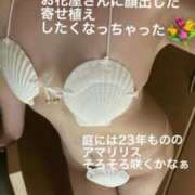 ヒメ日記 2025/08/22 21:20 投稿 奈保子(なおこ) エッチな熟女(広島)