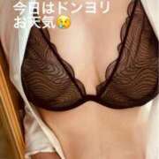 ヒメ日記 2025/10/08 08:50 投稿 奈保子(なおこ) エッチな熟女(広島)