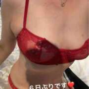 ヒメ日記 2025/12/08 21:31 投稿 奈保子(なおこ) エッチな熟女(広島)