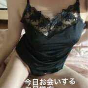 ヒメ日記 2026/02/28 06:00 投稿 奈保子(なおこ) エッチな熟女(広島)