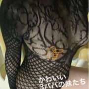 ヒメ日記 2026/03/18 11:50 投稿 奈保子(なおこ) エッチな熟女(広島)