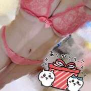 ヒメ日記 2024/12/20 23:59 投稿 収容番号：53番 非自由人躾専門店 淫姦収容所 日本橋本拠地