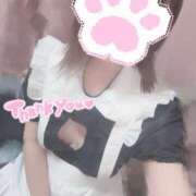 ヒメ日記 2025/06/16 02:39 投稿 収容番号：53番 非自由人躾専門店 淫姦収容所 日本橋本拠地