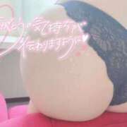 ヒメ日記 2025/08/18 00:19 投稿 収容番号：53番 非自由人躾専門店 淫姦収容所 日本橋本拠地